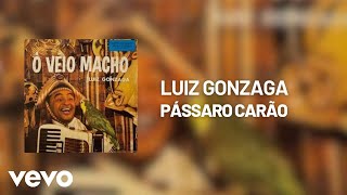 Luiz Gonzaga - Pássaro Carão Áudio Oficial