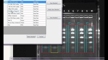 Introduction to E-Gel® Imager Software, Part 2 -- GelQuant Express Software
