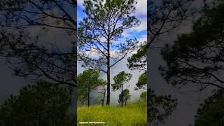 🍁feel the nature 🍁#mountains #ytshorts #youtube #nature #trending #travel