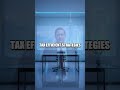 AI Avatars Face ETF vs Stocks 2025 Deep Reflective Short