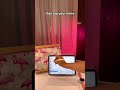 How To Stop iPad Photos From Showing Up on iPhone