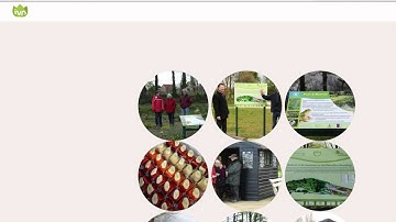 Tutorial Widgetkit Gallery Joomla 3.5 Nederlands