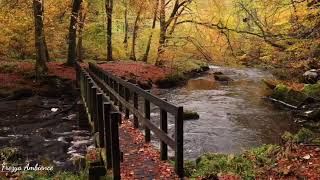 Download Lagu Frezya Ambience-Calm down and Focus with piano under the Autumn Leaves MP3