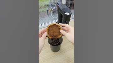 Cold Brew Time! ☕️🧊🖤 GoatStory 📸