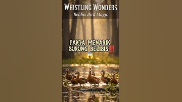 TAHUKAH KAMU FAKTA MENARIK BURUNG BELIBIS‼️😱#shorts #animalfacts #belibis