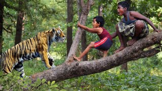 royal bengal tiger attack | tiger attack man in the forest, tiger attack in jungle by Crazy Life Entertainment 176,828 views 2 months ago 10 minutes, 39 seconds