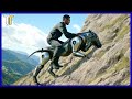 AWESOME Robotic Creatures That Will Blow Your Mind! | Tech Talks