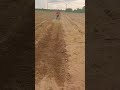 நவீன பைக் கலப்பை இயந்திரம் 🚜🔥 #farming #innovation #brazil #viral #shorts