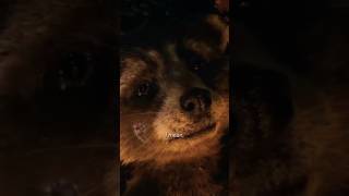 Rocket Racs Soulmate Lady Lylla