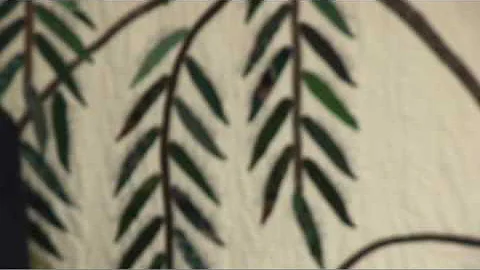 353_01_08.mov