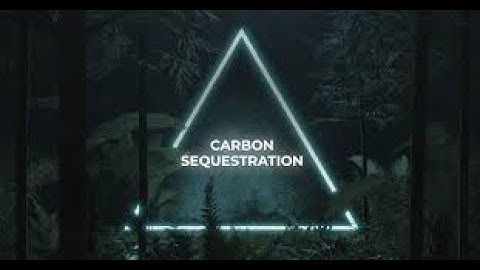 Carbon Sequestration : The Green Methods