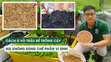 TẬP 59 - Hướng dẫn ủ vỏ trấu để trồng cây mà không dùng chế phẩm vi sinh