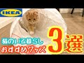【IKEA】2020年春　猫を飼っている方オススメ用品 3選※全て1000円以下