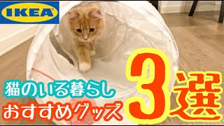 【IKEA】2020年春　猫を飼っている方オススメ用品 3選※全て1000円以下