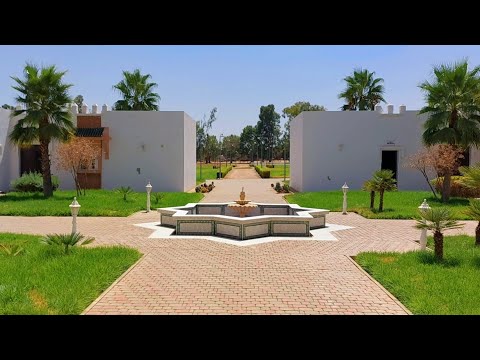 يوم رائع في نادي الخيول مكناس