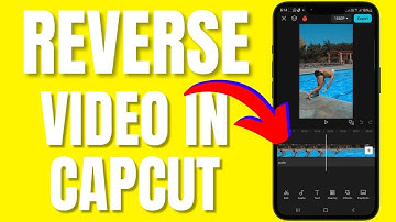 How To Reverse Video in Capcut (2025)