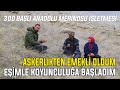 300 bal anadolu merinosu letmesi  askerlikten emekli oldum eimle koyunculua baladm