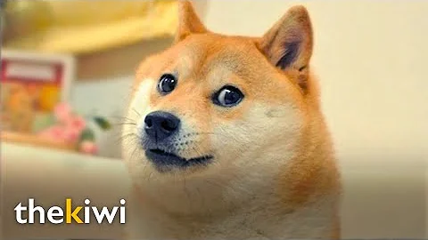 Como comprar Dogecoin com real?
