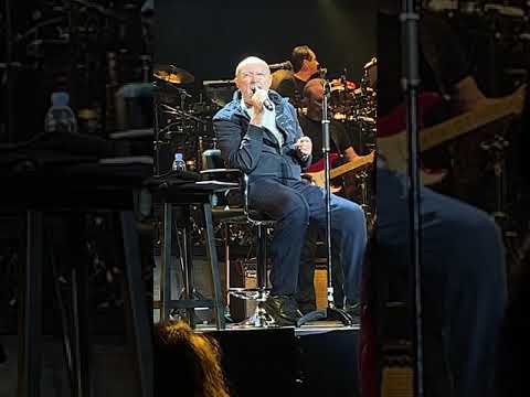 Phil Collins: Not