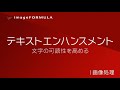 6 テキストエンハンスメント ドキュメントスキャナー imageFORMULA 【キヤノン公式】