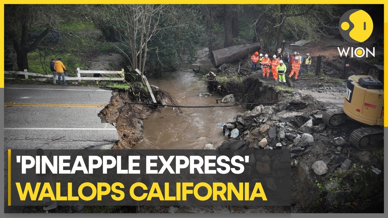 Storm breaches California’s river levee | WION Climate Tracker