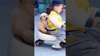 Happy Moments Of A Boy And His Golden Retriever