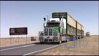 6900 Western Star Road Train on big cattle shift