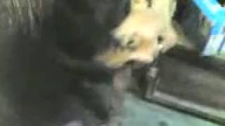 01062007 this is horrific!!!