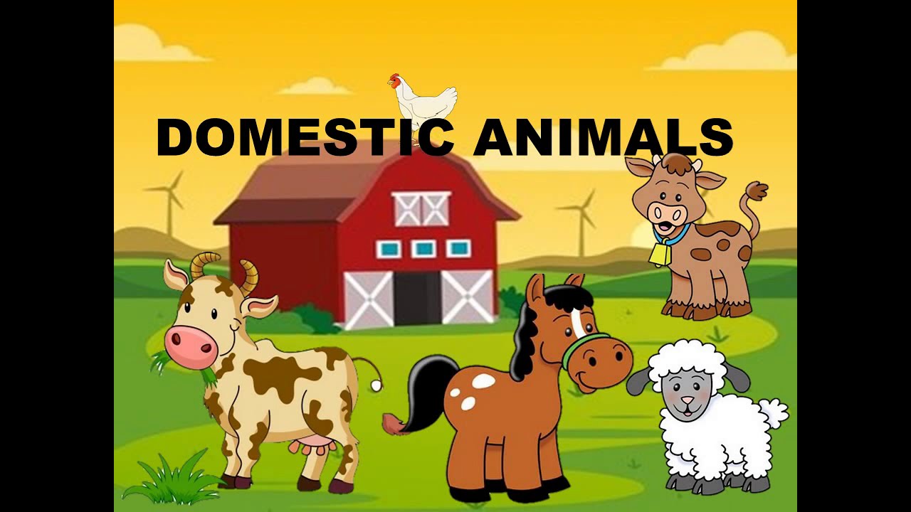 DOMESTIC ANIMALS|| PRESCHOOL LEARNING|| LESSON PLAN OF DOMESTIC OR FARM  ANIMALS - YouTube