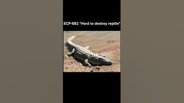 SCP-682 "Hard to destroy reptile" #short #scpfundation