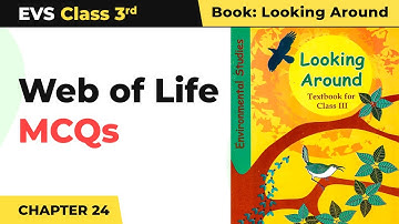 Web of Life - Multiple Choice Questions (MCQs) | Class 3 EVS Chapter 24 | 2024-25