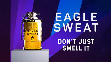 Helldivers 2: Eagle Sweat - Smell like a Hero of the Federation