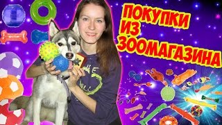 Покупки Из Зоомагазина #2! Для Хаски Рэсси ♥