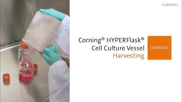 Corning® HYPERFlask® How To | Step 4: Harvesting