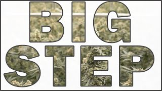Big step made in Ohio's recreational marijuana rollout