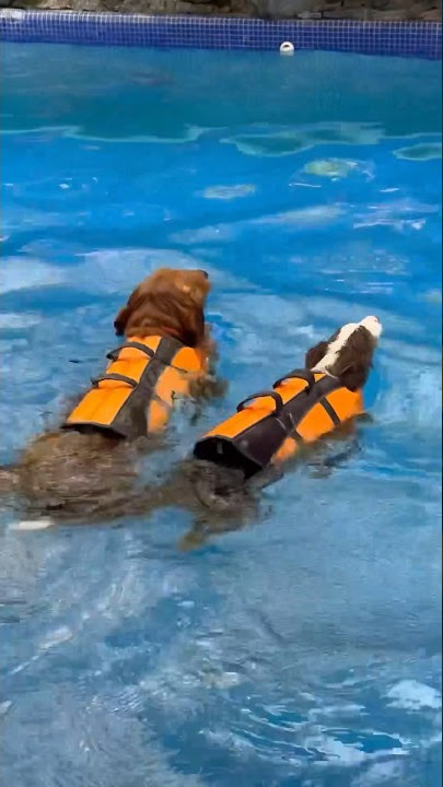 Pet friendly Guest House in Tagaytay.📍 SPLENDIDO TAAL GOLF &COUNTRY CLUB RESIDENCES