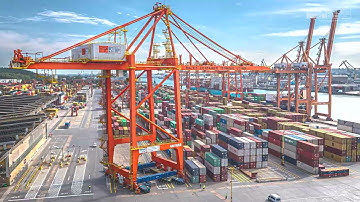 Przemieszczanie suwnicy - BCT Gdynia