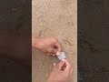 I lost my coins 🪙part:3 #shortvideo