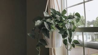 Lets Macrame a Plant Hanger- Using the Chinese Crown Knot