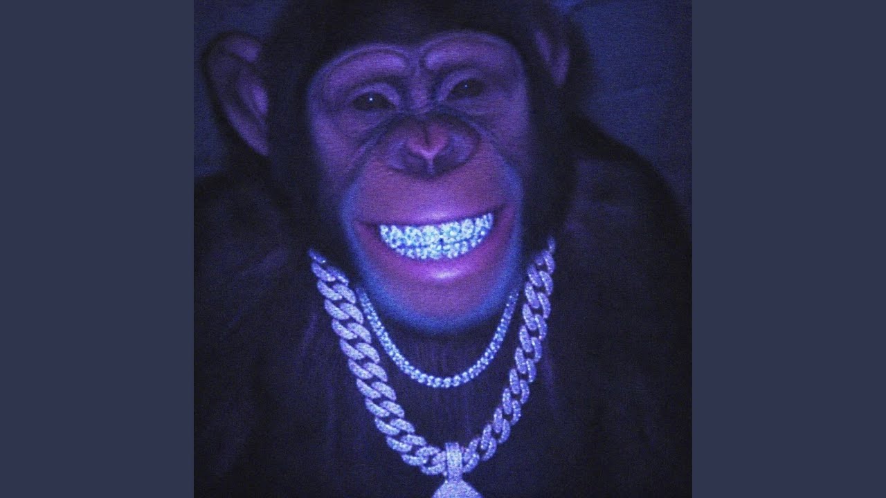 Monkey Jerk adlı videoyu YouTube'da izle Monkey Jerk adlı videoyu YouTube'da izle