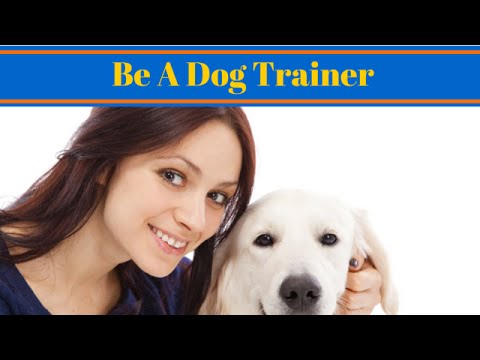 i want to be a dog trainer