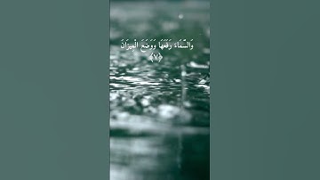 ما تيسر من سورة  الرحمن -  للشيخ سعد الغامدي