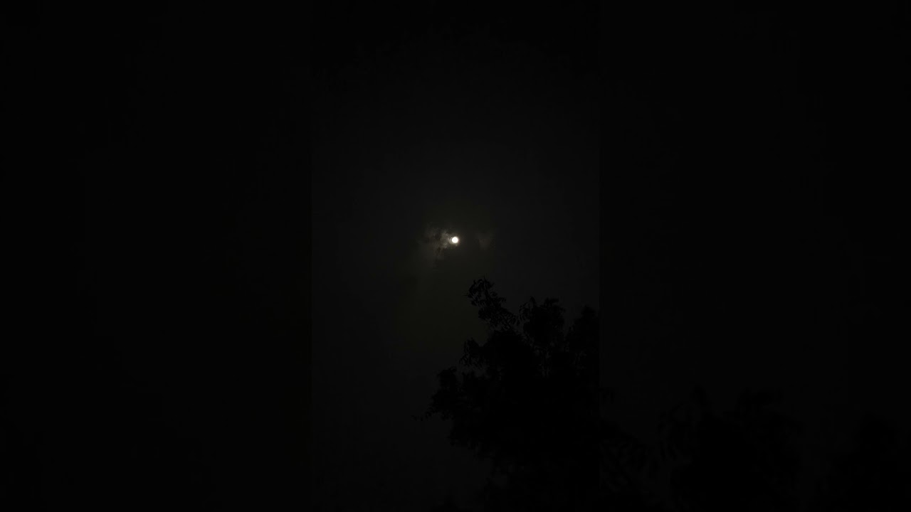 👽👹👺🌕🕸️🕷️Horror Nightout 🕷️🕸️🌕 #horror #horrorstories #horrorshorts #cinematography #photooftheday