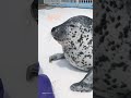 アザラシの空に飛んでいきそうなバイバイとかわいいポーズ#アザラシ#seal #ゴマフアザラシ