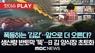 폭등하는 '김값'..앞으로 더 오른다? 생산량 반토막 '뚝'..日 김 양식장 초토화-[핫이슈PLAY] MBC뉴스 2024년 5월 15일