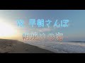 【VR 180 3D】早朝さんぽ　朝焼けの海