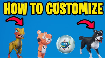 How to Customize Your Sidekick in Fortnite - Fastest Guide