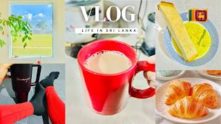Day 14 Health & Fitness Challenge සහල Vlog Productive Sunday Sunday Reset Motivation