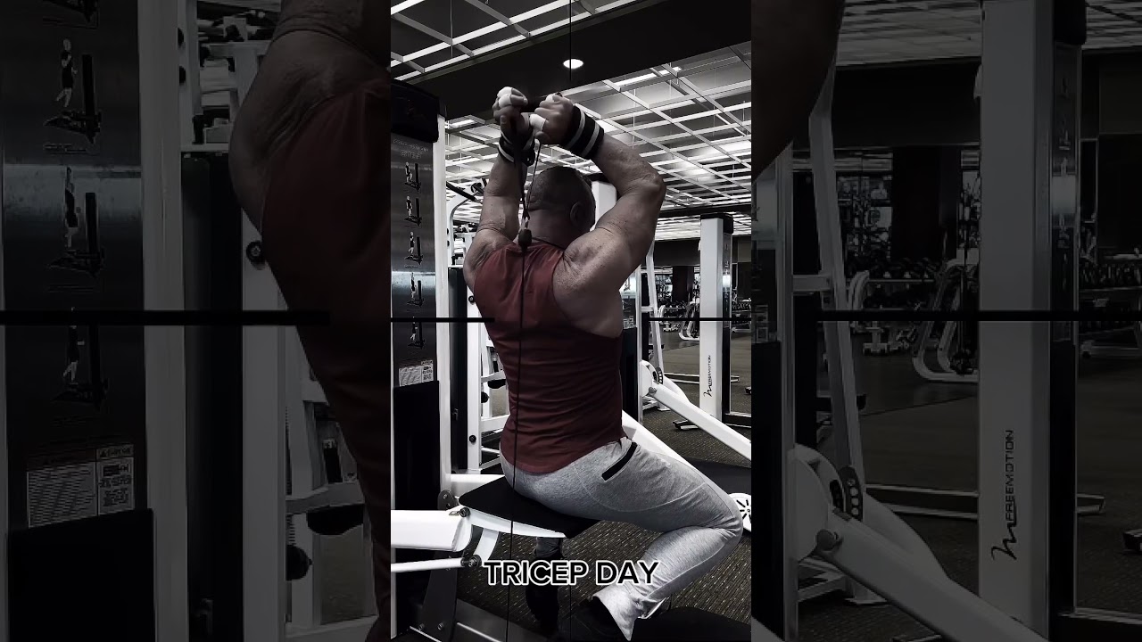 Triceps #triceps #workout #muscle #pump #motivation
