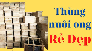 Thùng nuôi ong mật An Thịnh . Thùng đẹp ván dầy giá rẻ